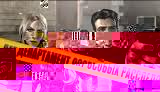 Схемы бисероплетения животных